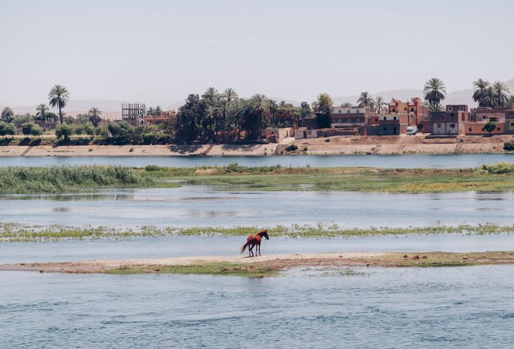 Egypte