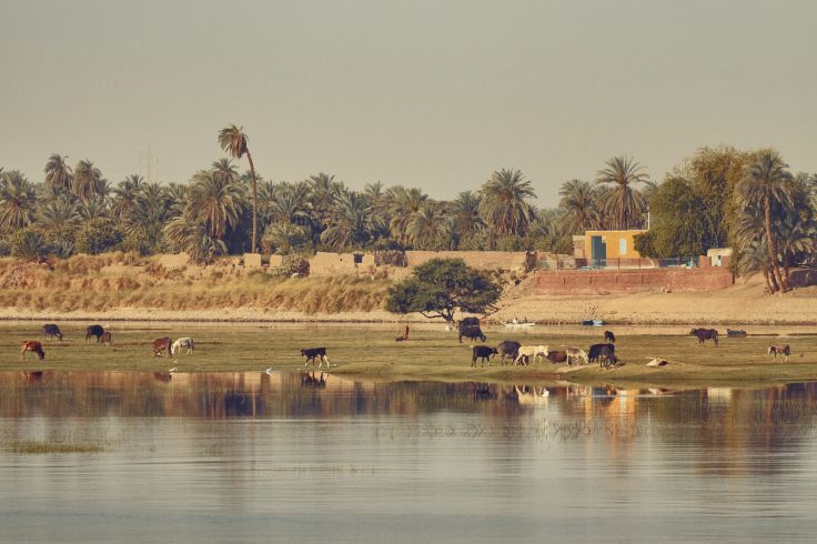 Egypte