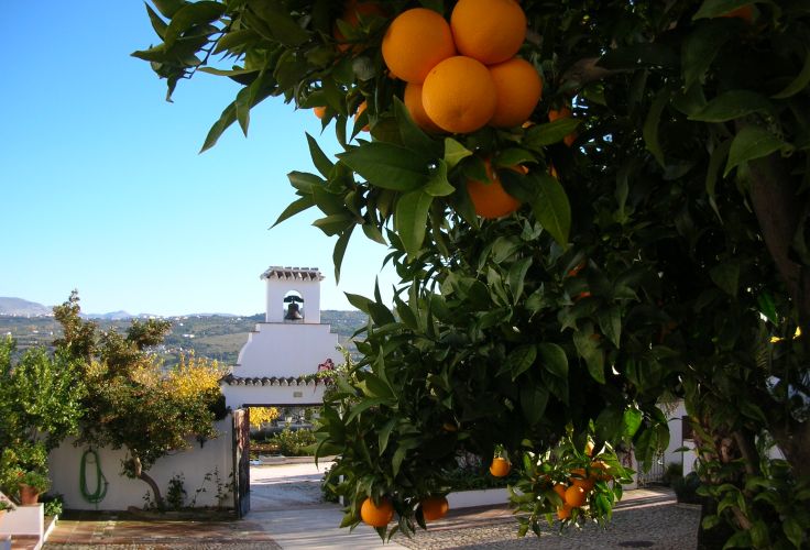 Voyage itinérant Espagne - Andalousie