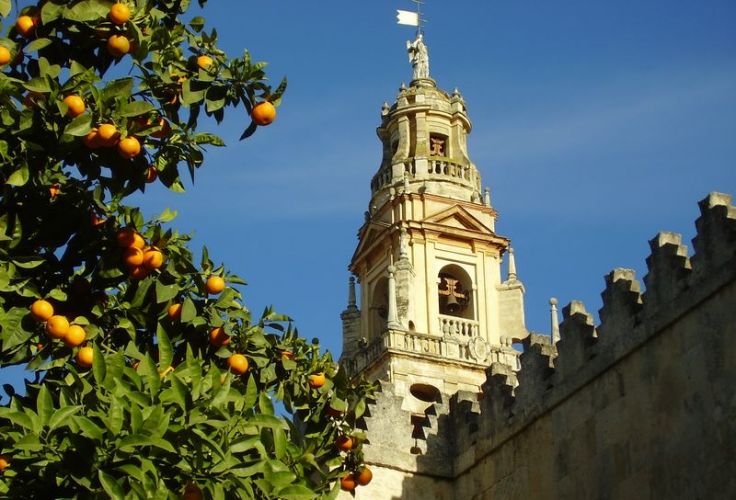 Voyage itinérant Espagne - Andalousie