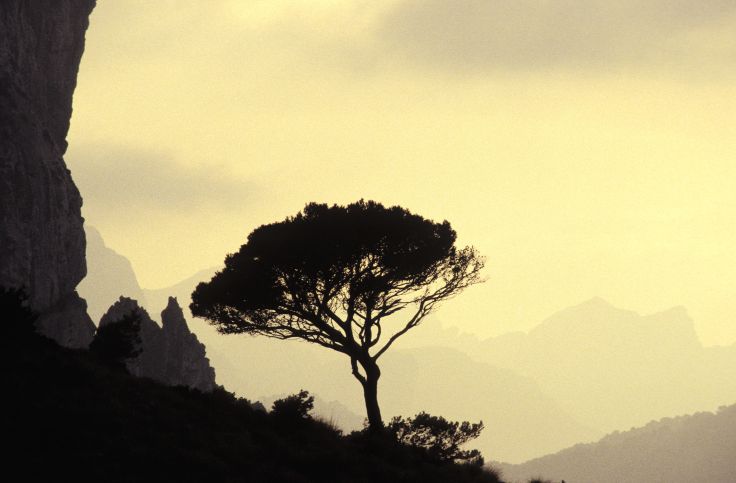 Cap Formentor - Majorque - Baléares