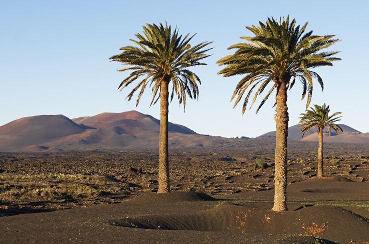 Lanzarote - Canaries - Espagne