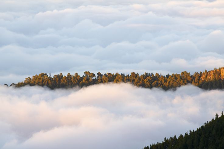 Tenerife - Canaries - Espagne
