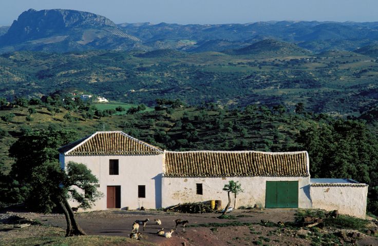 Sierra de Ronda - Andalousie - Espagne