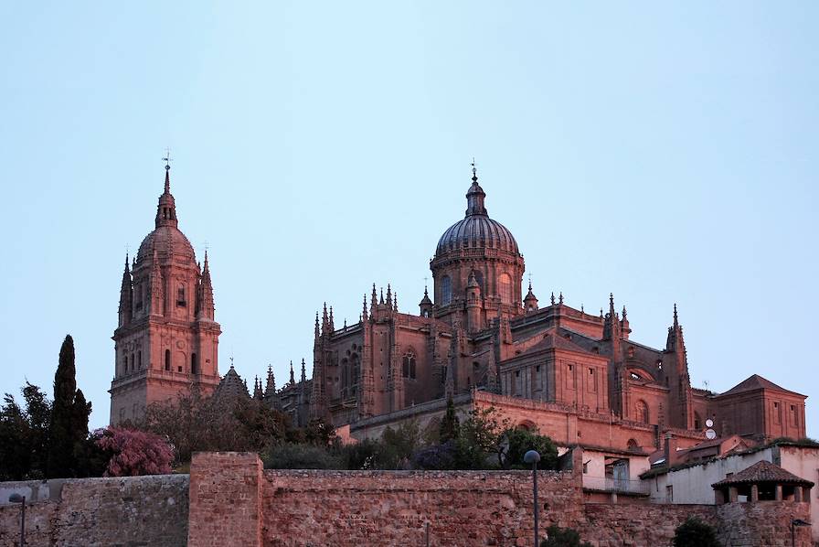 Vieille cathédrale de Salamanque - Espagne