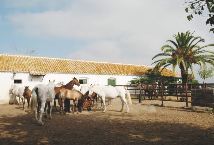 Andalousie - Espagne