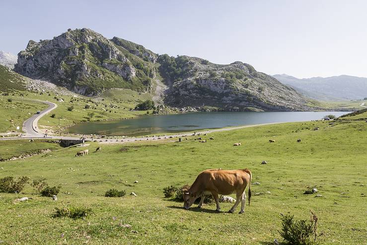 Parc national des Picos de Europa - Asturies - Espagne