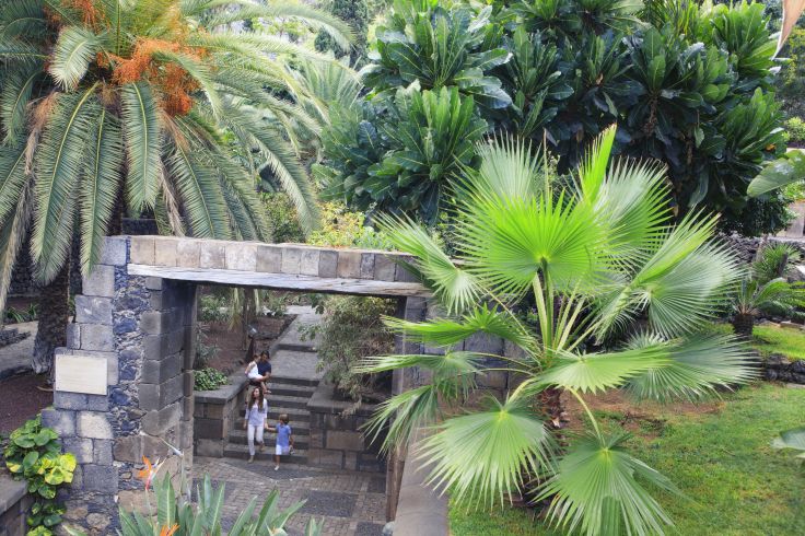 Garachico - Ile de Tenerife - Espagne