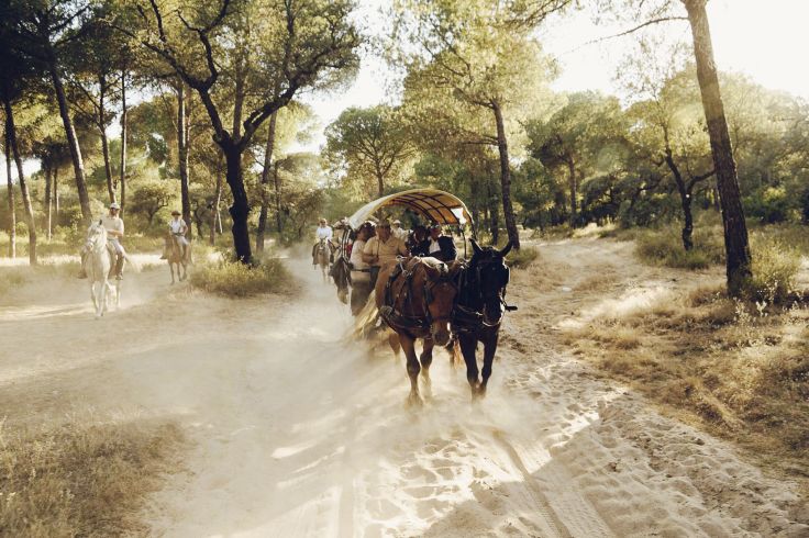 Villamanrique de la Condes - Andalousie - Espagne