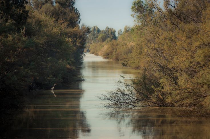 Doñana - Espagne
