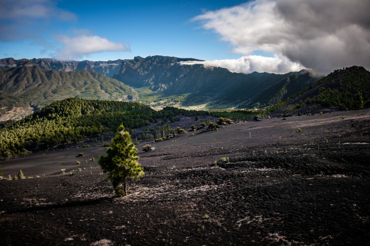 Cumbre Nueva - Route des Volcans - La Palma - Iles Canaries