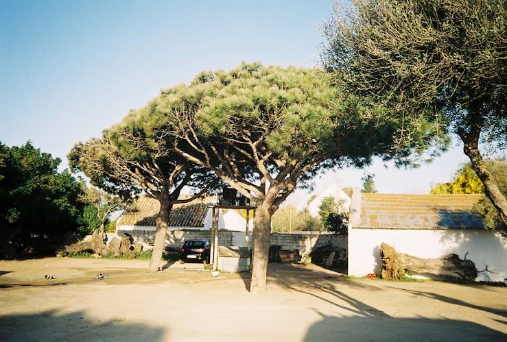 Conil - Andalousie - Espagne