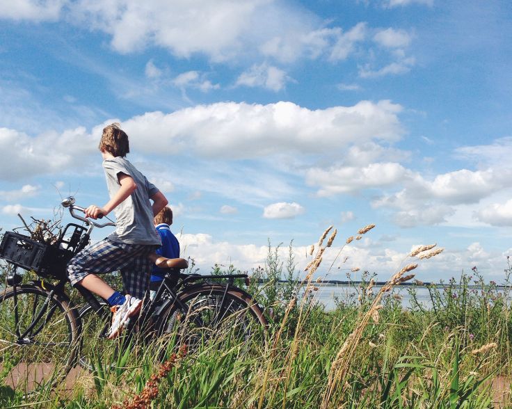 Voyages itinérants Estonie - Tallinn - Vihula - Pärnu - Kuressaare
