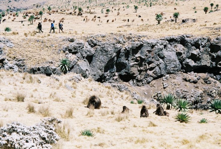 Simien - Ethiopie