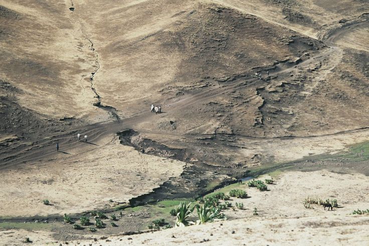 Simien - Ethiopie