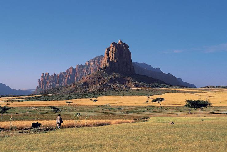 Nord ethiopien - Ethiopie