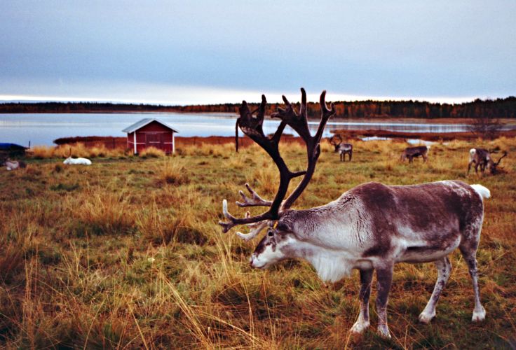 Finlande