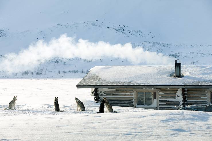 Attelage - Finlande