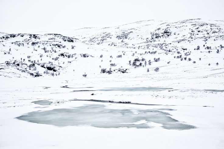 Norvège