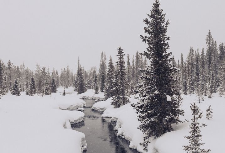 Laponie - Finlande