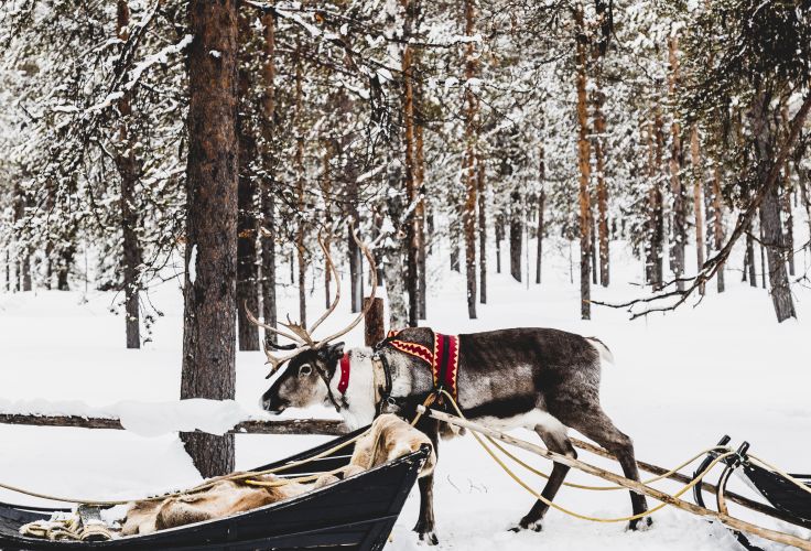 Äkäslompolo - Laponie - Finlande