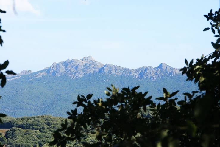 Levie - Corse - France