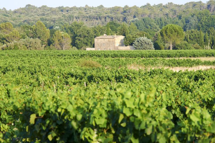 Baron - France