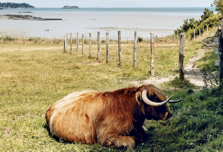 Bretagne - France