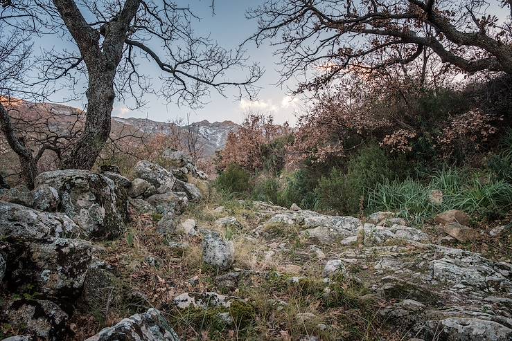 Montagne - Corse - France