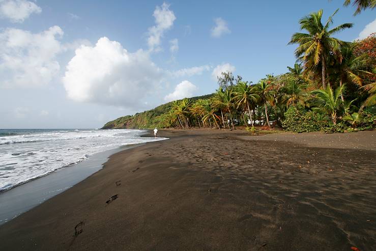 basse terre guadeloupe plage