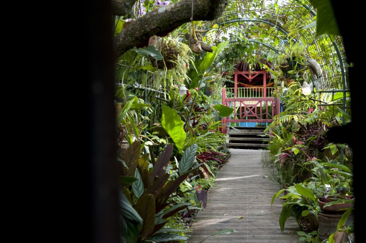 Habitation Tendacayou - Deshaies - Guadeloupe
