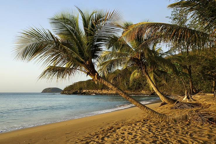 Plage de la Perle - Guadeloupe