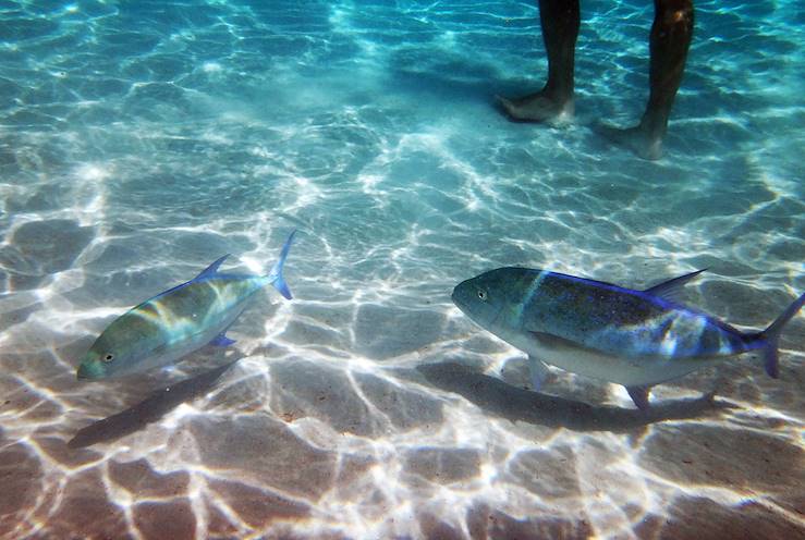 Guadeloupe