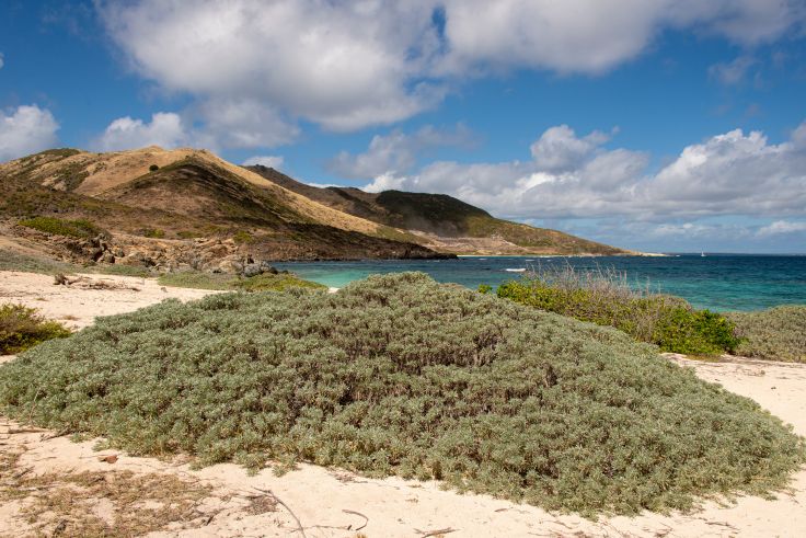 Ilet Pinel - Saint-Martin