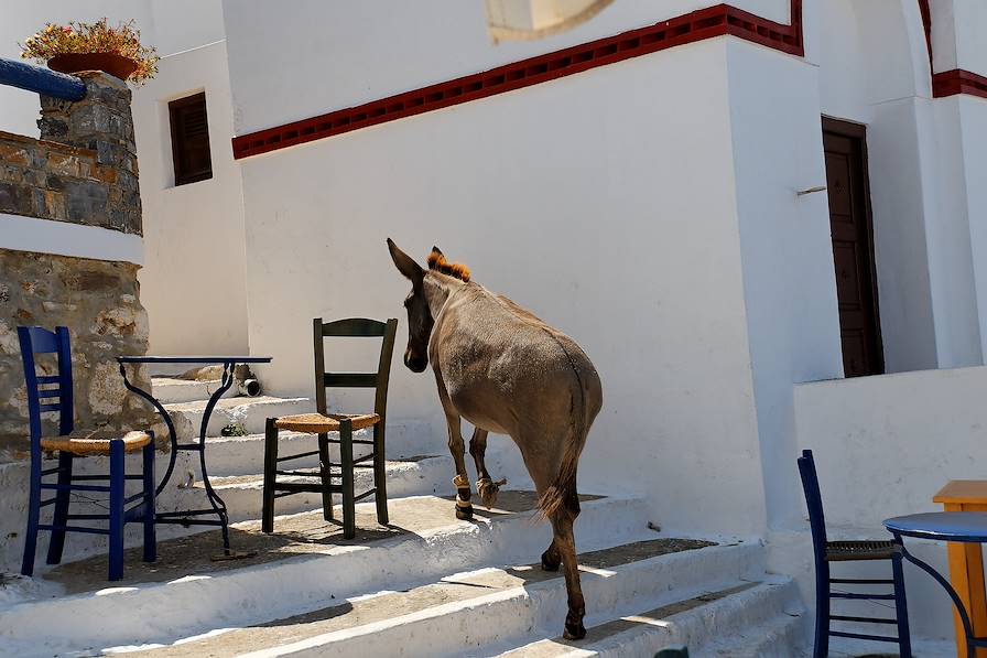 Voyages itinérants Grèce - Athènes - Amorgos - Naxos