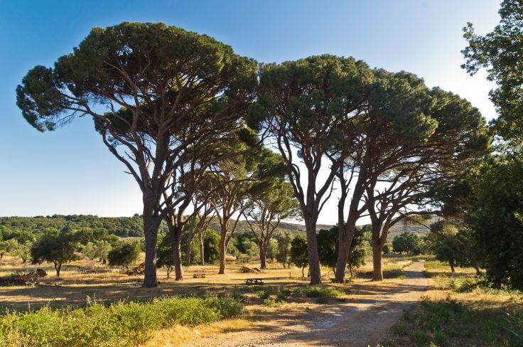 Crète - Grèce