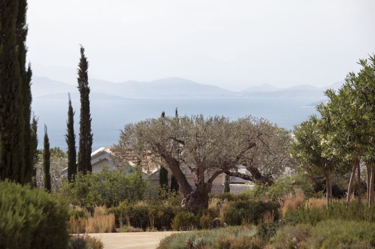Amanzoe - Kranidi - Grèce