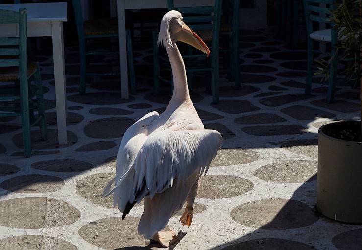 Tinos - Cyclades - Grèce