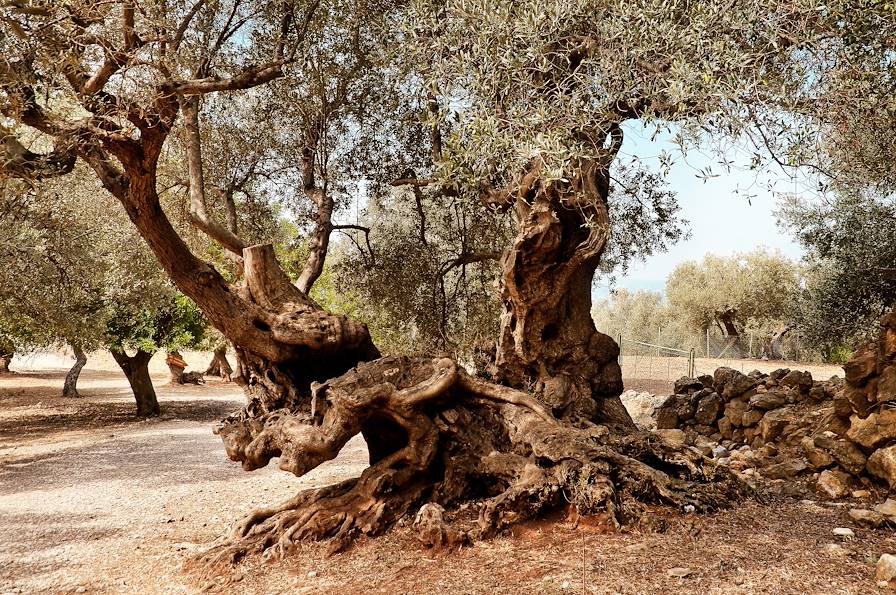 Grèce