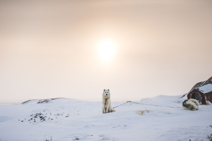 Ilulissat - Qaasuitsup - Groenland