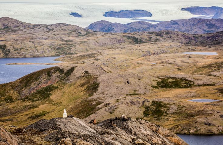Région du Cercle Polaire Arctique - Groenlande
