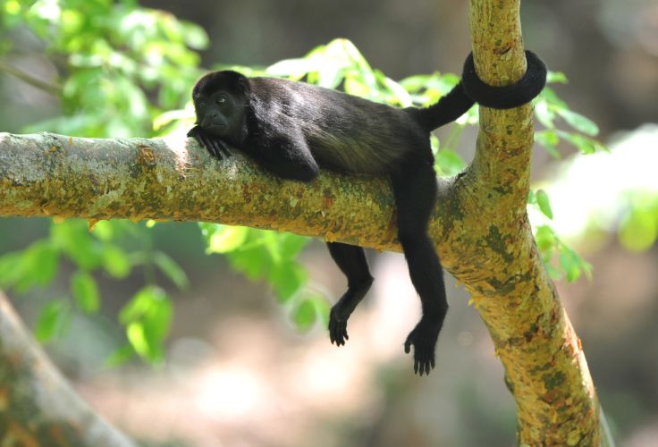 Costa Rica