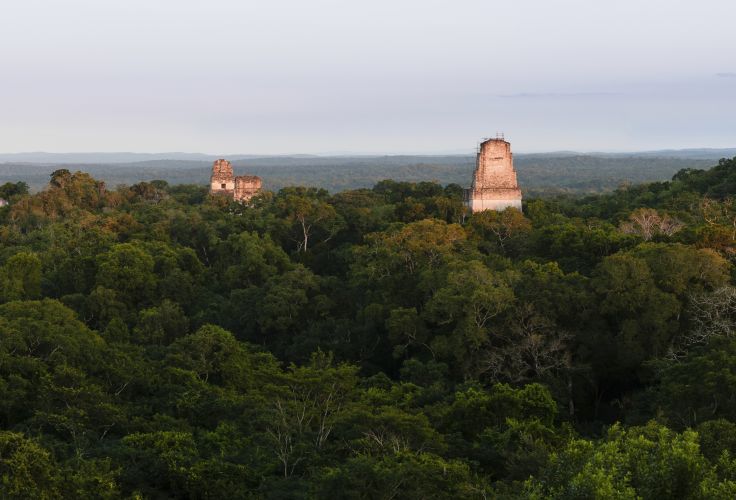 Parc National de Tikal - Guatemala