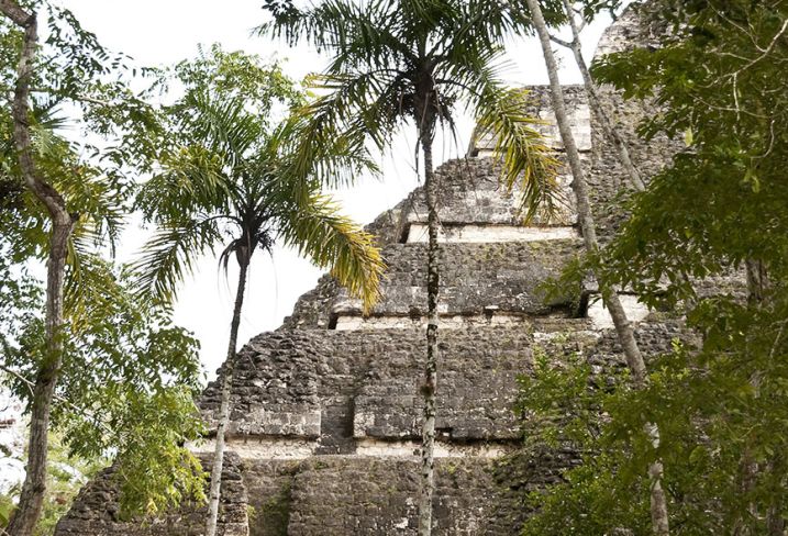 Tikal - Guatemala
