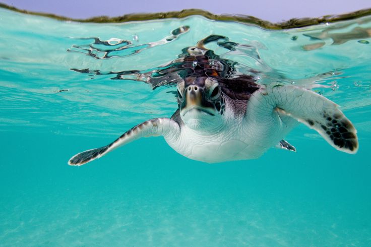 Belize