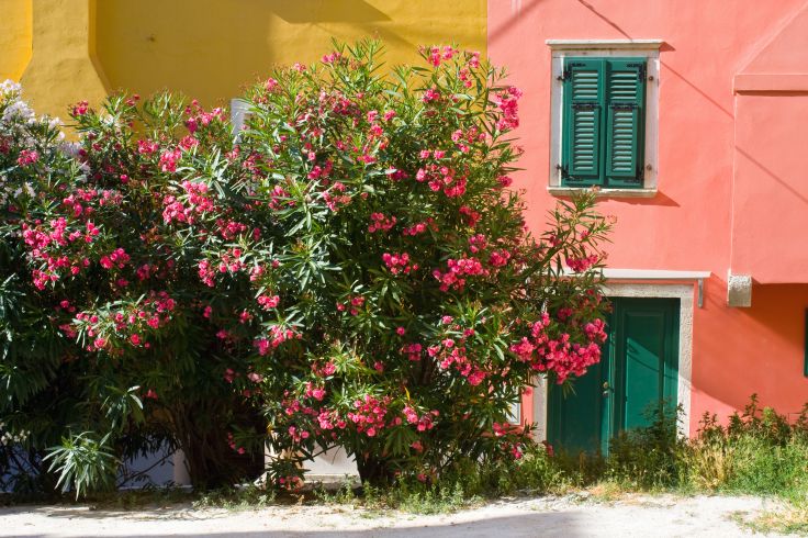 Rovinj - Istrie - Croatie