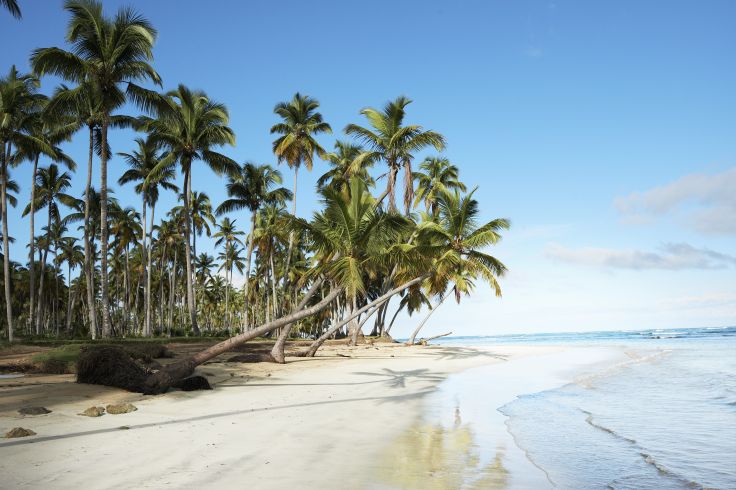 Voyage itinérant Haïti et République Dominicaine - Port-au-Prince - Le Cap Haïtien - Saint-Domingue - Las Terrenas