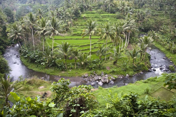 Ubud - Bali - Indonésie
