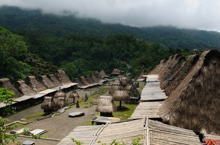 Village traditionnel de Bena - Région de Bajawa - Ile de Flores - Indonésie