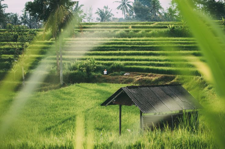 Bali - Indonésie